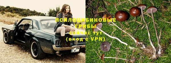 MESCALINE Белокуриха