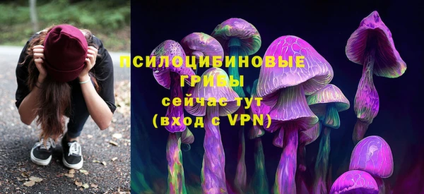 стафф Беломорск