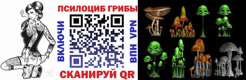 мориарти Telegram  Первомайск  Галлюциногенные грибы Psilocybe 